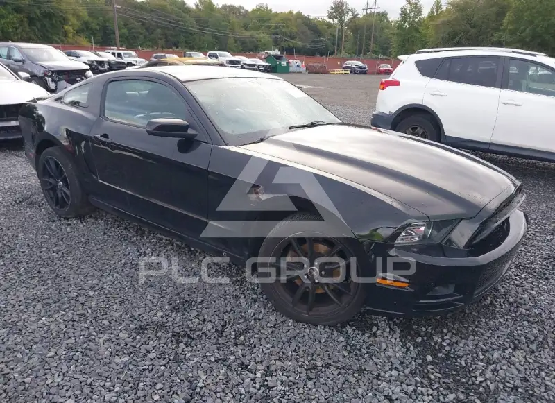 2014 Ford MUSTANG фото