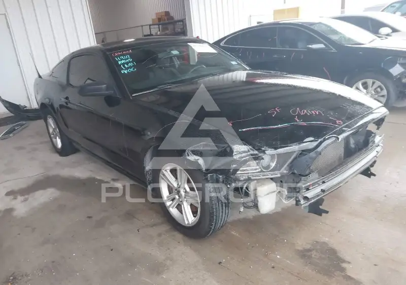 2014 Ford MUSTANG фото