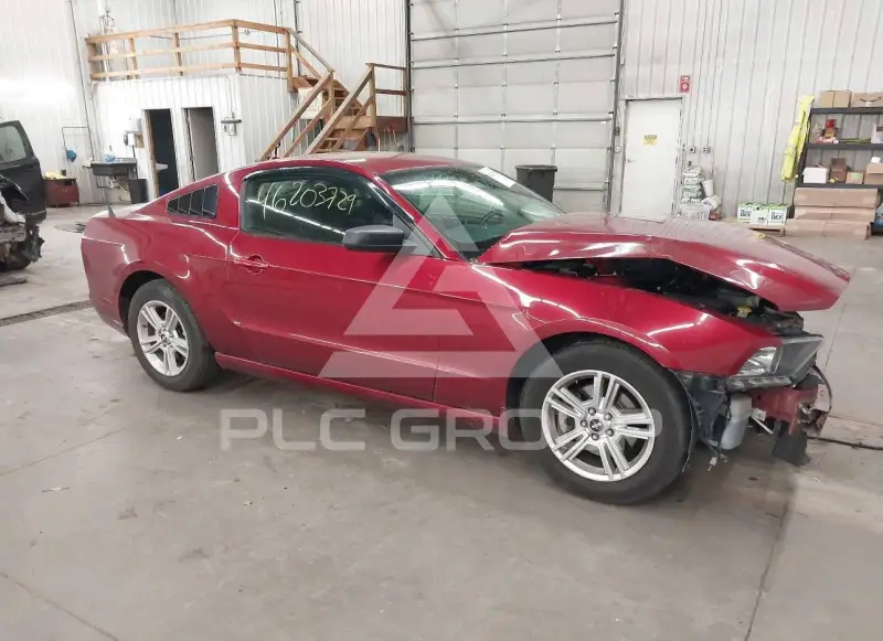 2014 Ford MUSTANG фото