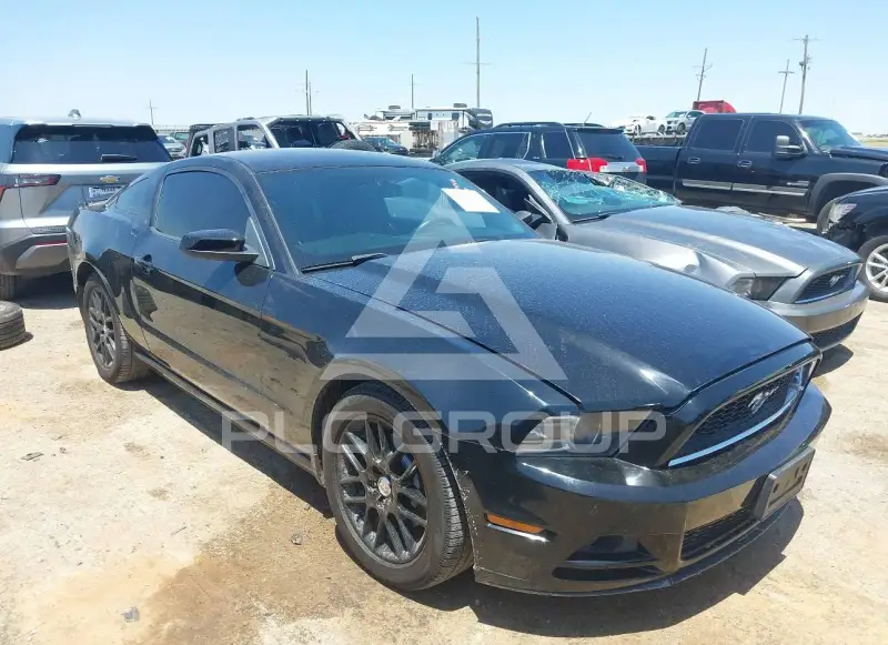 2014 Ford MUSTANG фото