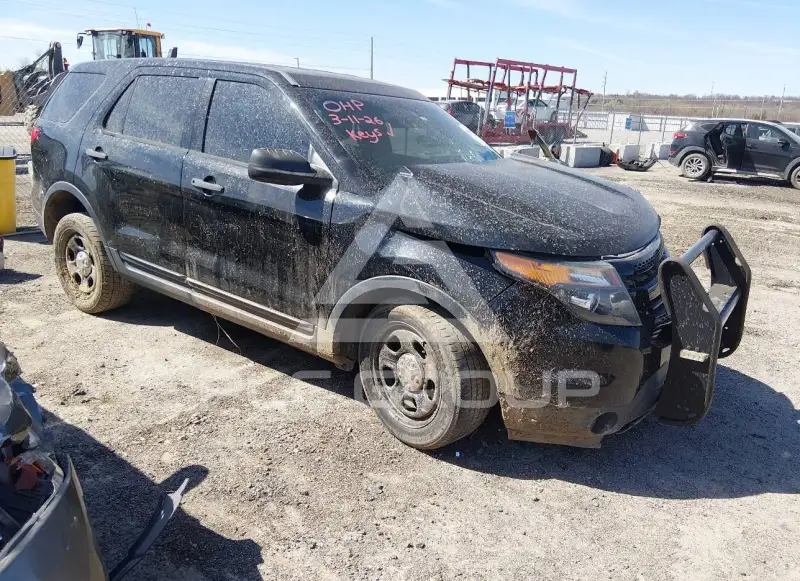 2014 Ford POLICE фото