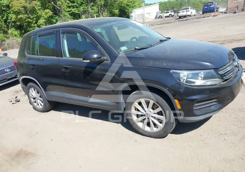 2014 Volkswagen Tiguan фото