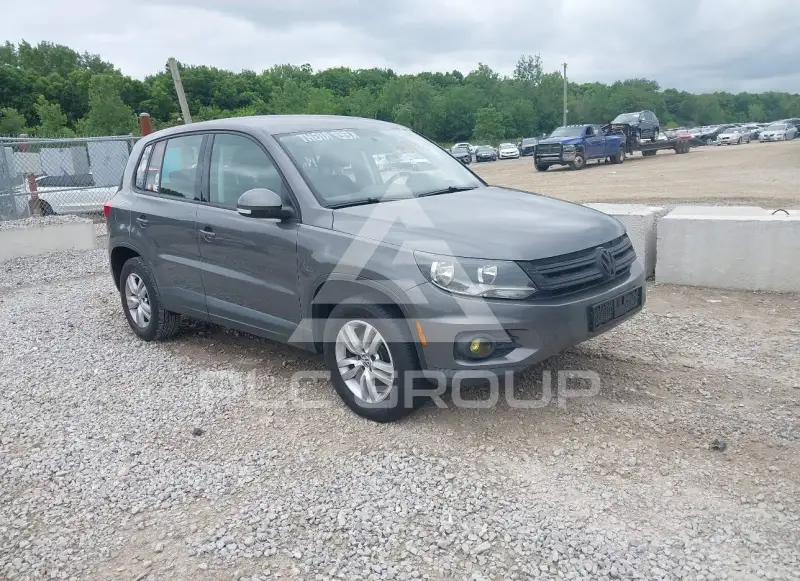 2014 Volkswagen Tiguan фото