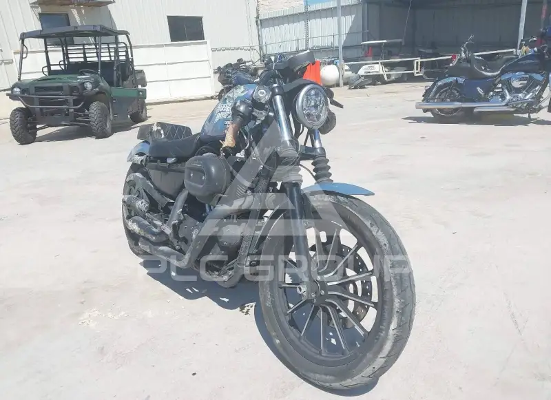 2015 Harley-Davidson XL883 photo