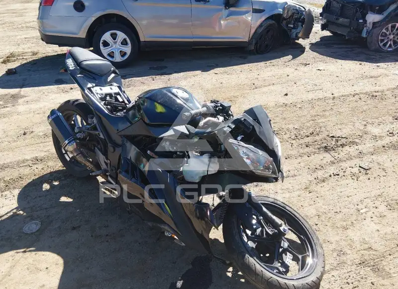 2015 Kawasaki EX300 photo