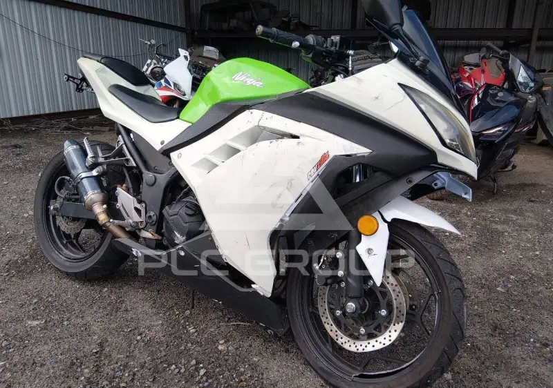 2015 Kawasaki EX300 фото