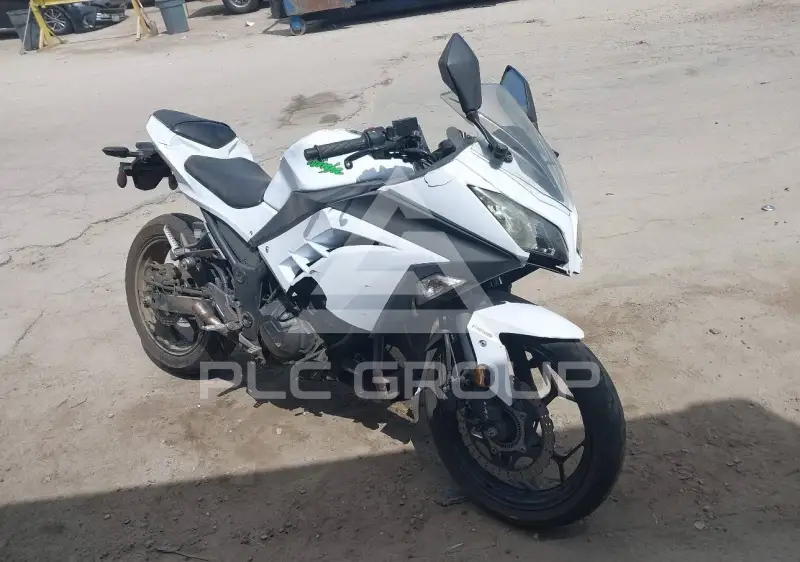2015 Kawasaki EX300 фото