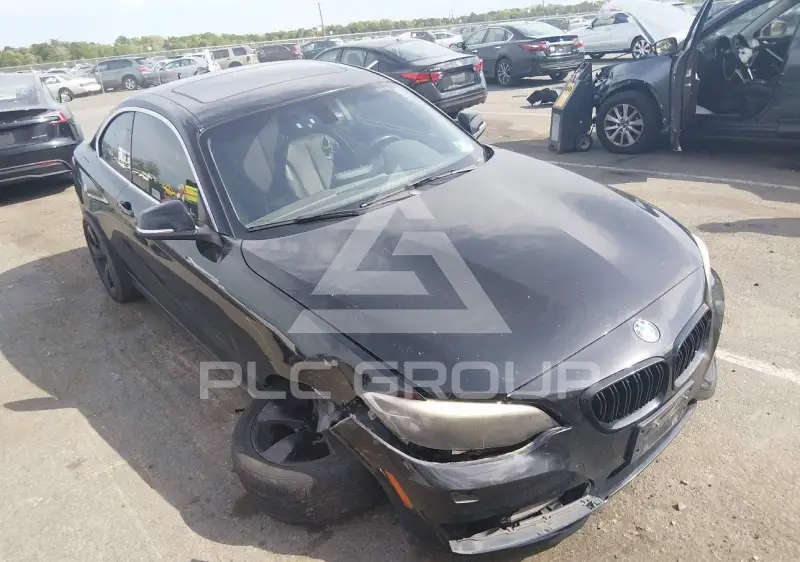 2015 BMW 228 фото