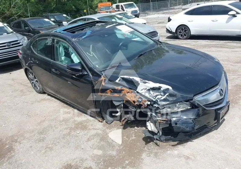 2015 Acura TLX фото