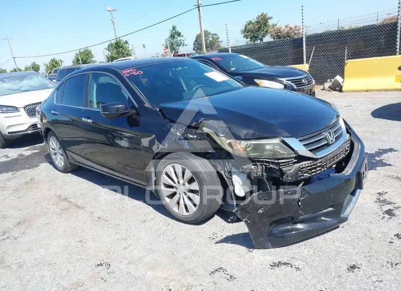 2015 Honda Accord photo