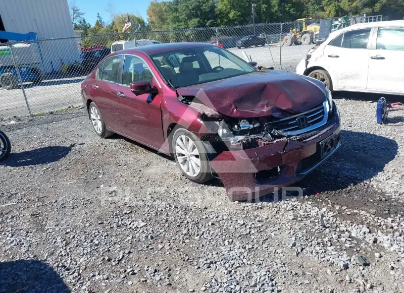2015 Honda Accord photo