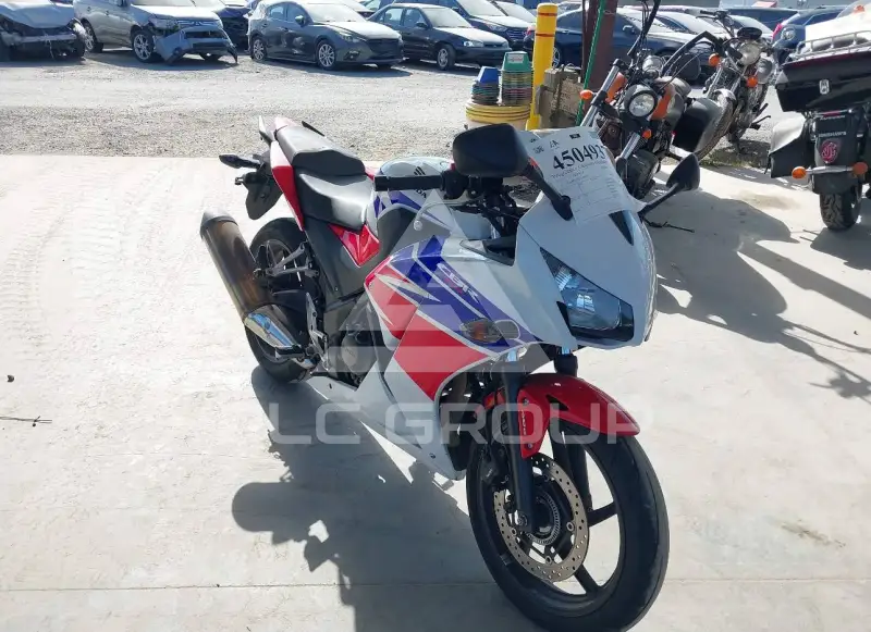 2015 Honda CBR300 photo