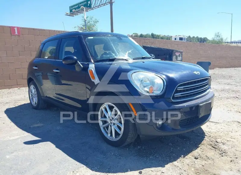2015 Mini Countryman фото