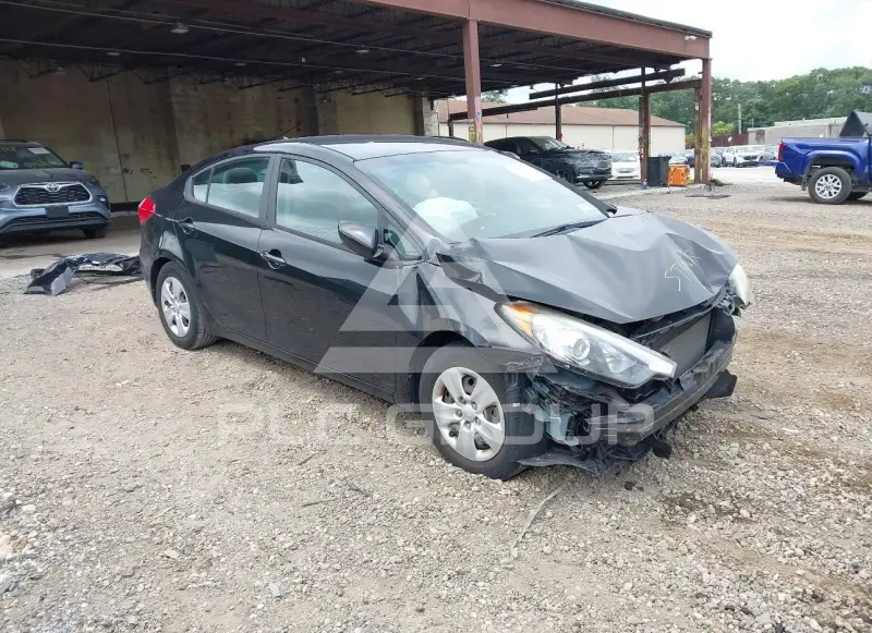 2015 KIA Forte photo