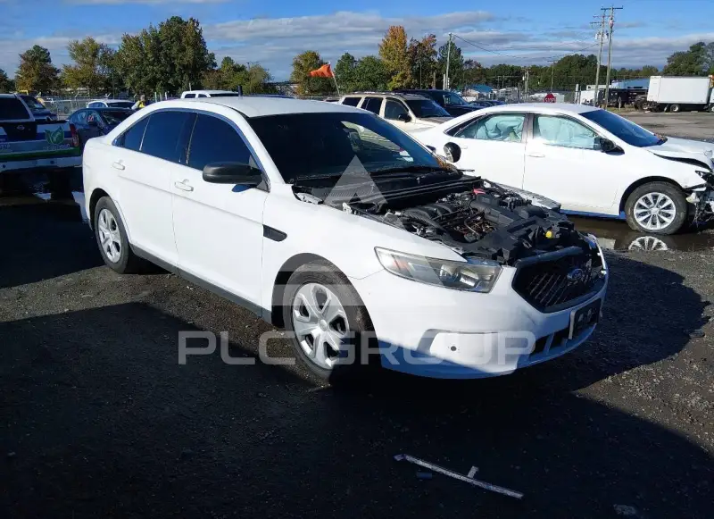 2015 Ford POLICE фото