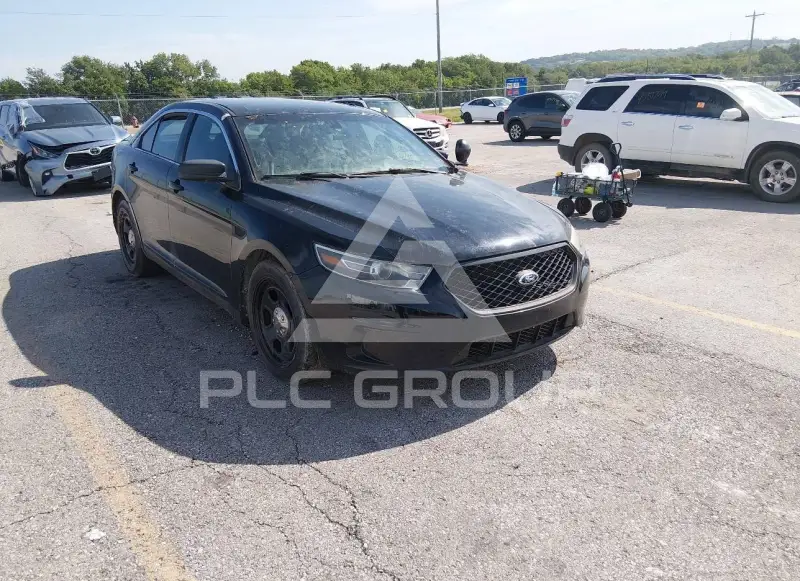 2015 Ford POLICE фото