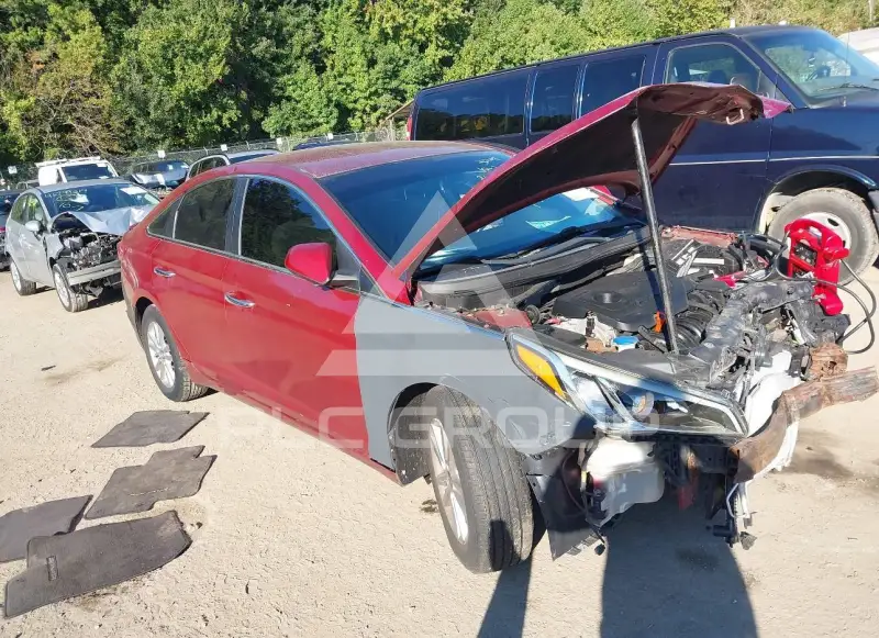2015 Hyundai Sonata фото
