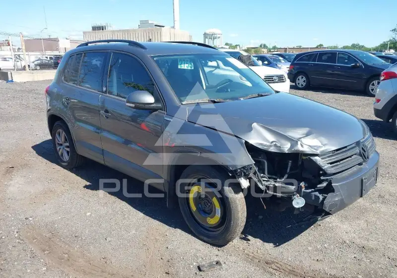 2015 Volkswagen Tiguan фото
