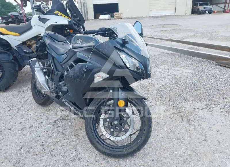 2016 Kawasaki EX300 фото