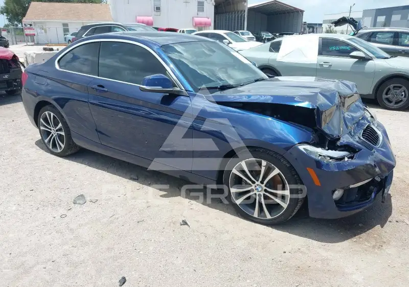2016 BMW 228 photo