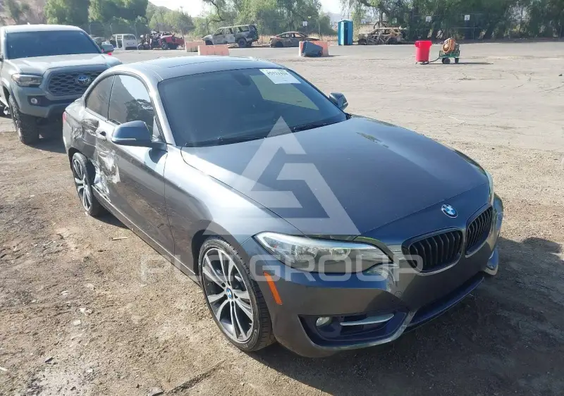 2016 BMW 228 фото