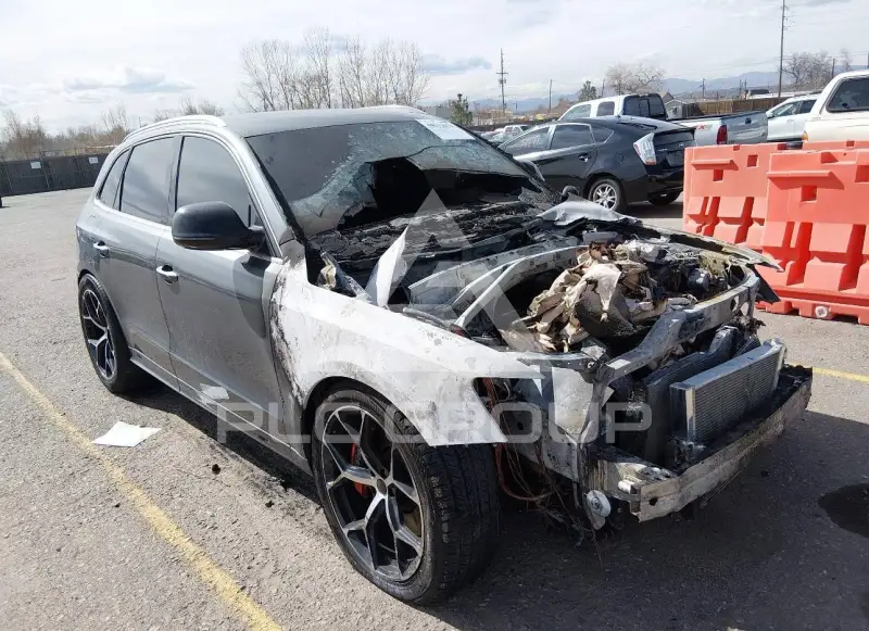 2016 Audi SQ5 photo