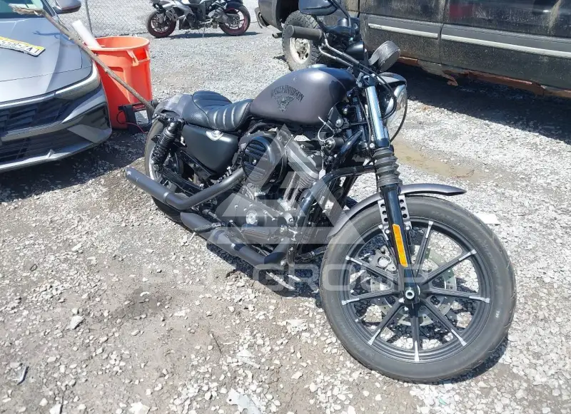2017 Harley-Davidson XL883 фото