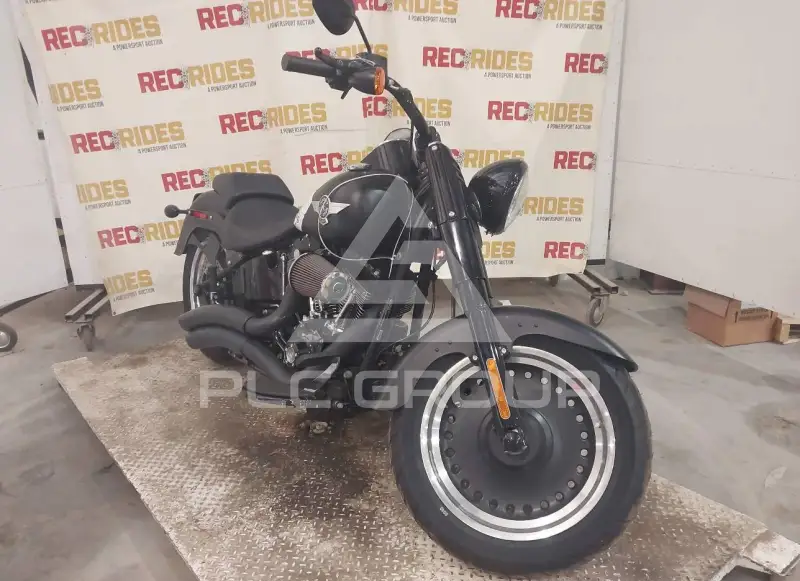 2017 Harley-Davidson FLSTFB фото