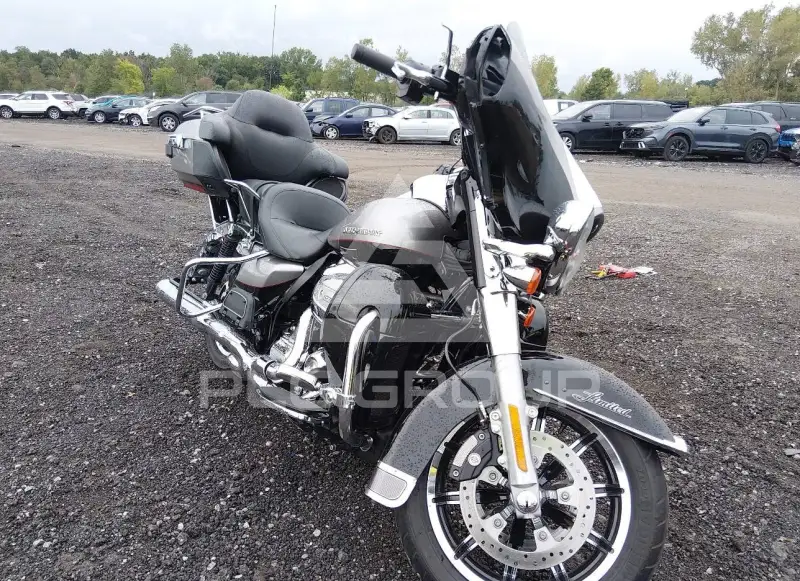 2017 Harley-Davidson FLHTK фото