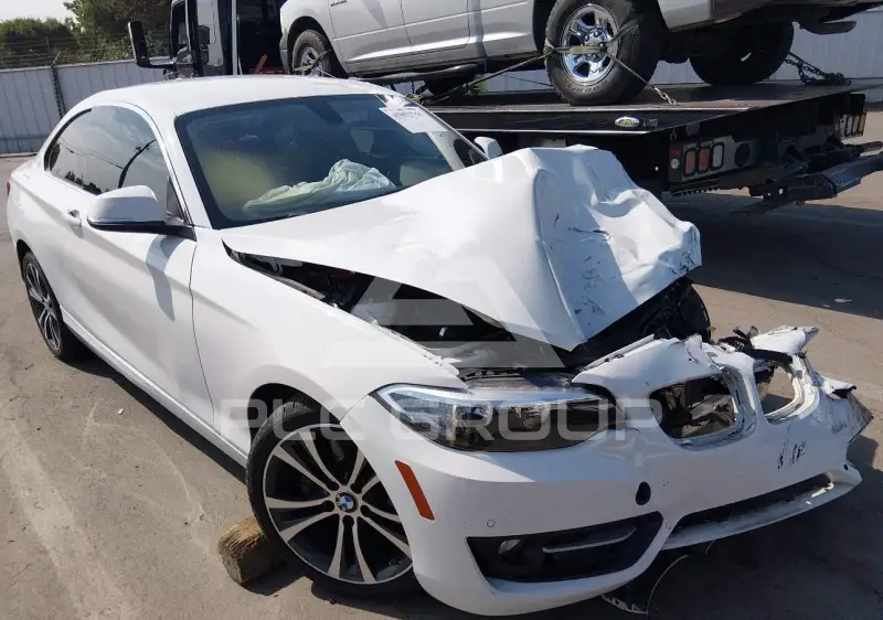2017 BMW 230 photo