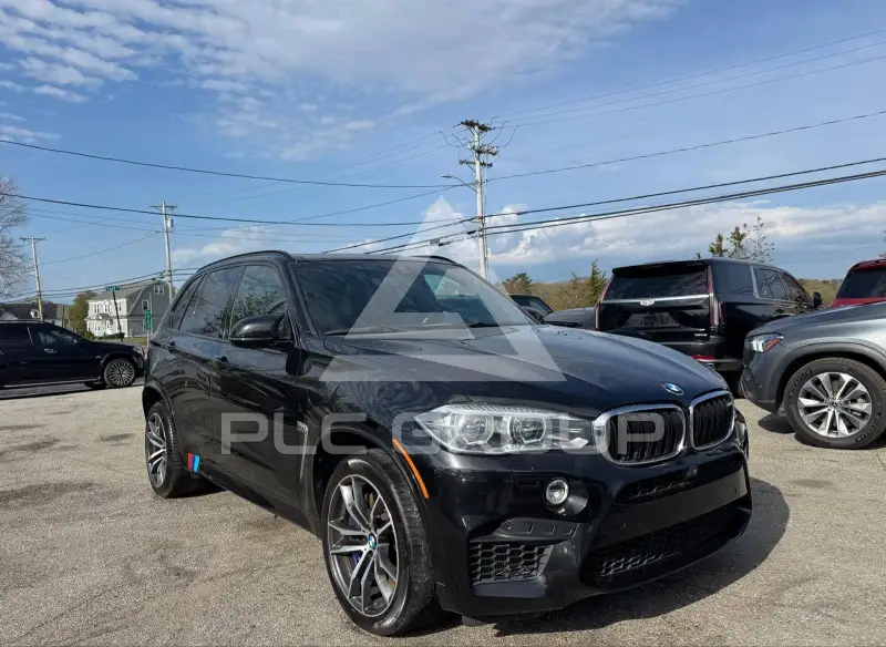 2017 BMW X5 фото