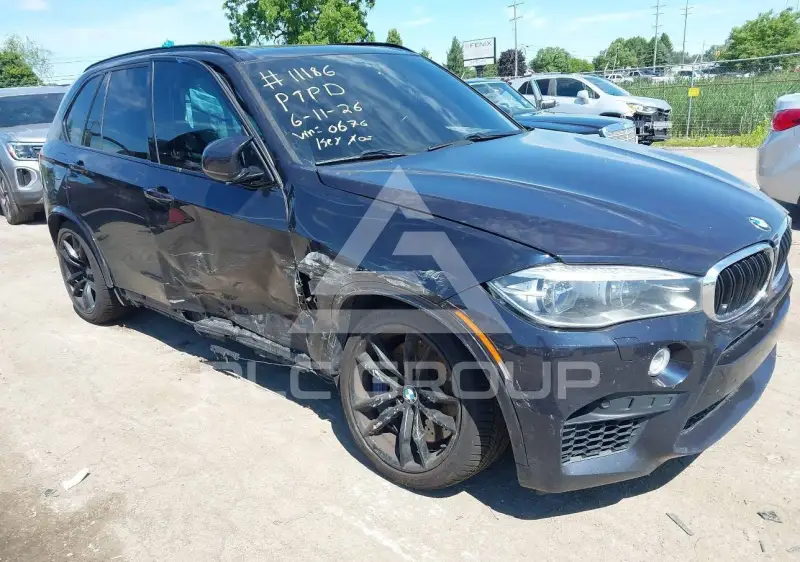 2017 BMW X5 фото
