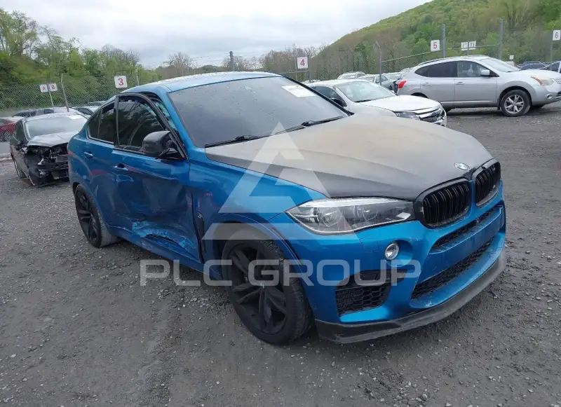 2017 BMW X6 photo