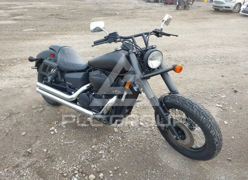 2017 Honda VT750 фото