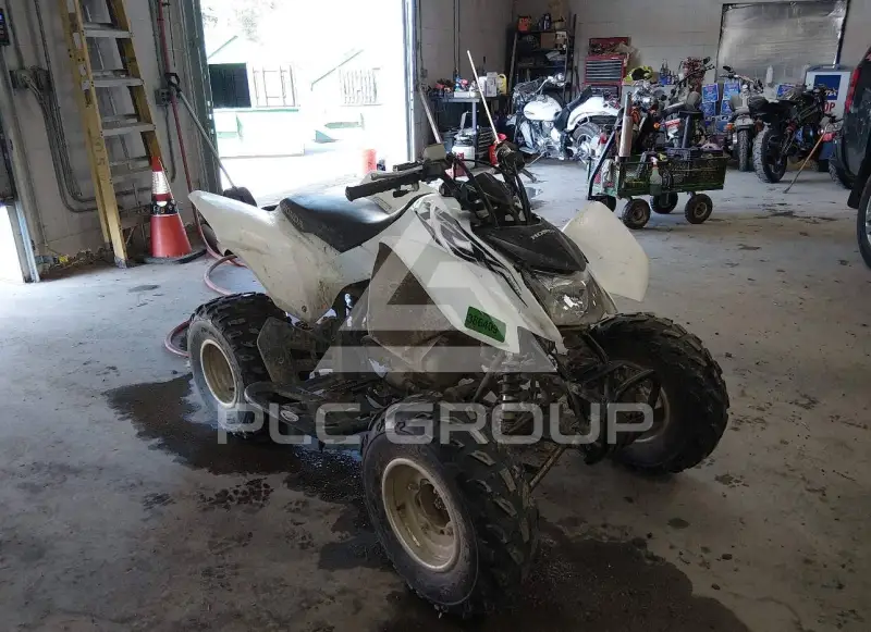 2017 Honda TRX250 фото