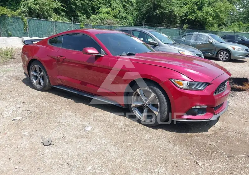 2017 Ford MUSTANG photo