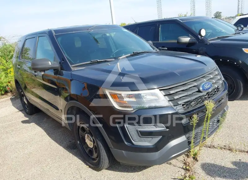 2017 Ford POLICE фото