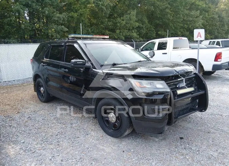 2017 Ford POLICE фото