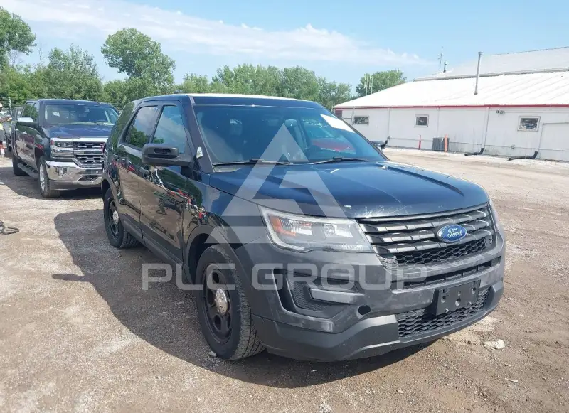 2017 Ford POLICE фото