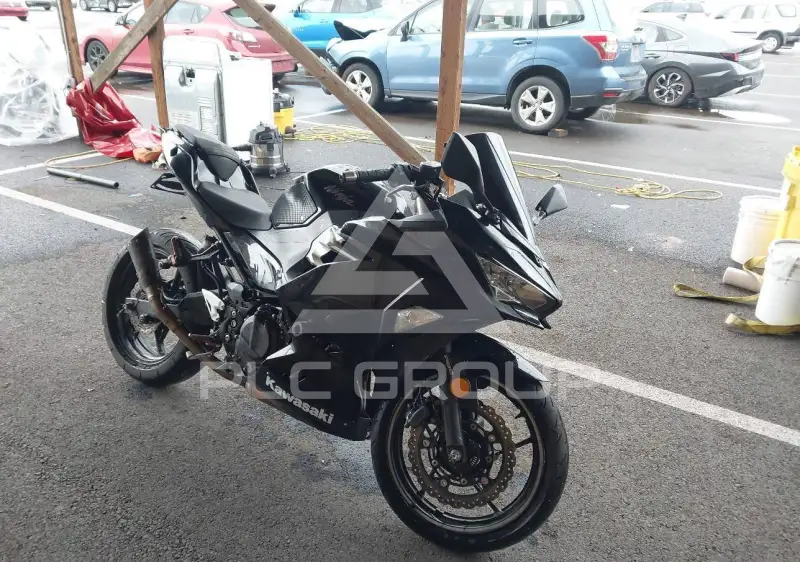 2018 Kawasaki EX400 фото