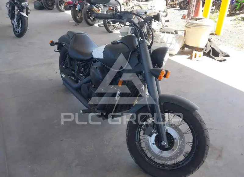 2018 Honda VT750 фото