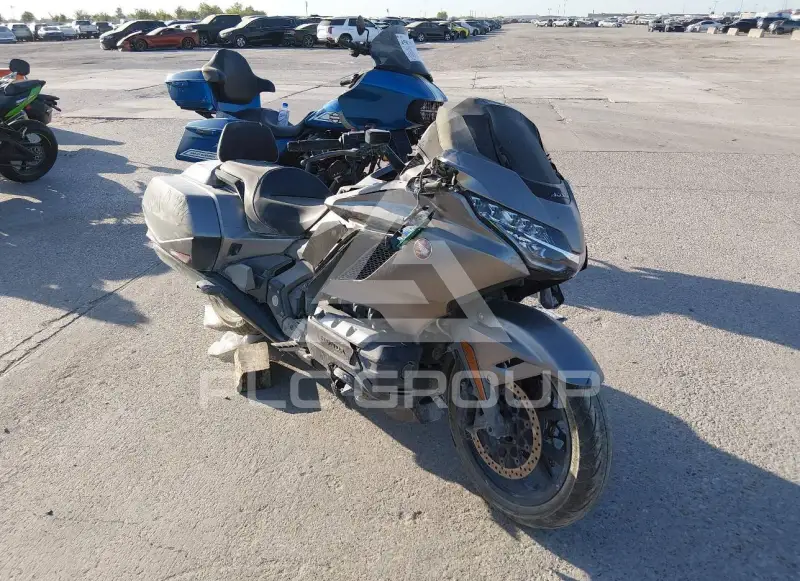 2018 Honda GL1800 фото