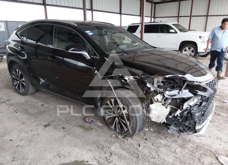 2018 Lexus NX300 фото