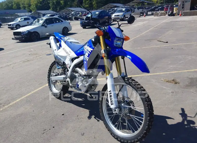 2018 Yamaha WR250 фото