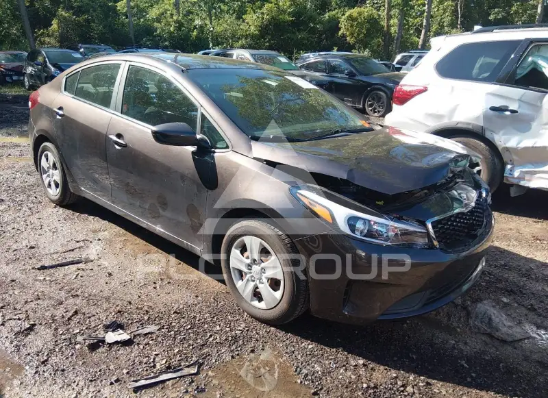 2018 KIA Forte фото