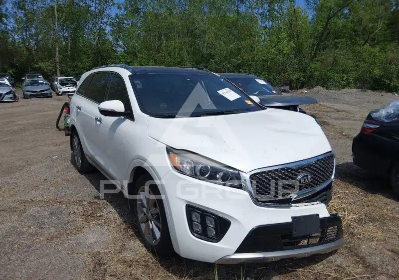 2018 KIA Sorento фото