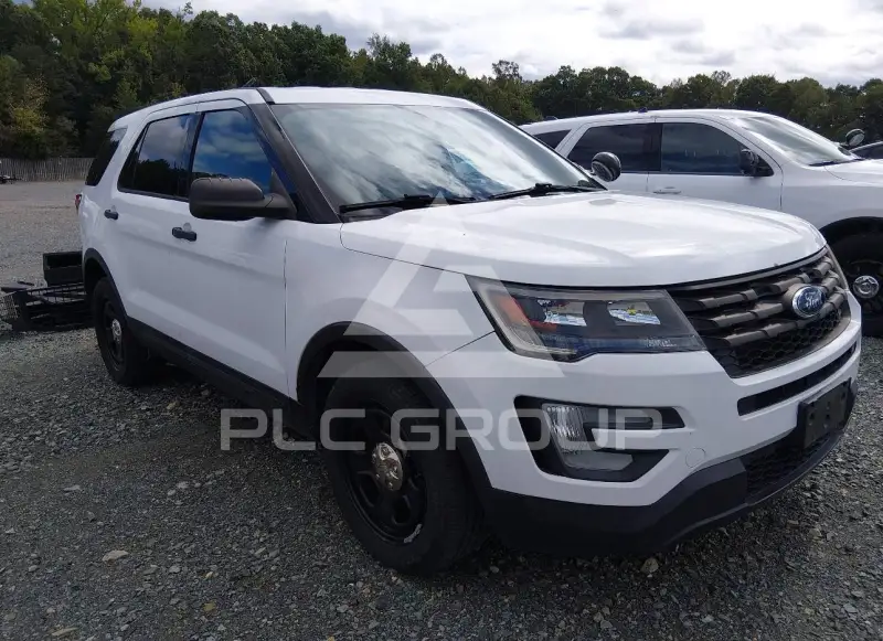 2018 Ford POLICE photo