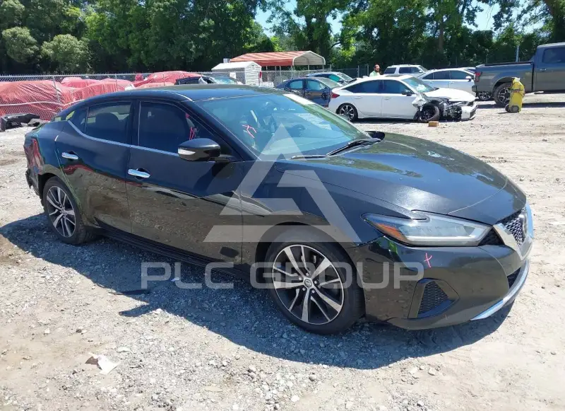 2019 Nissan MAXIMA photo