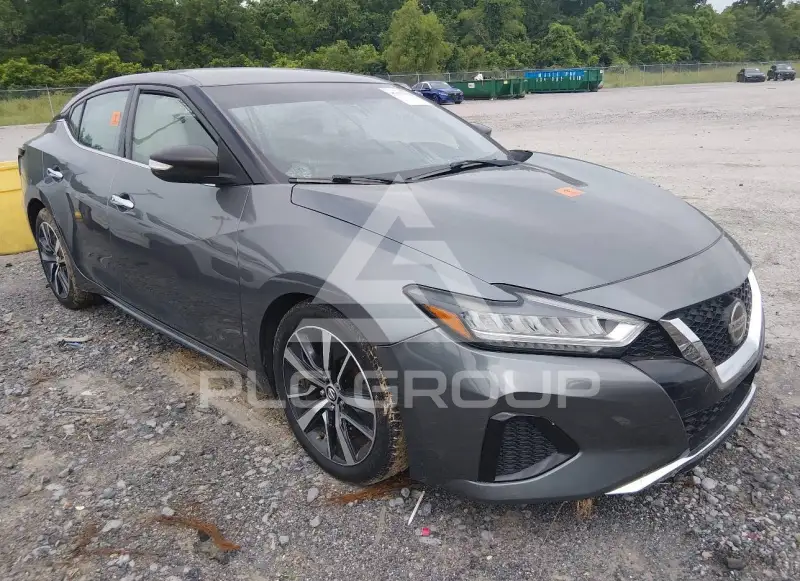 2019 Nissan MAXIMA фото