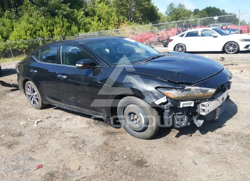 2019 Nissan MAXIMA photo